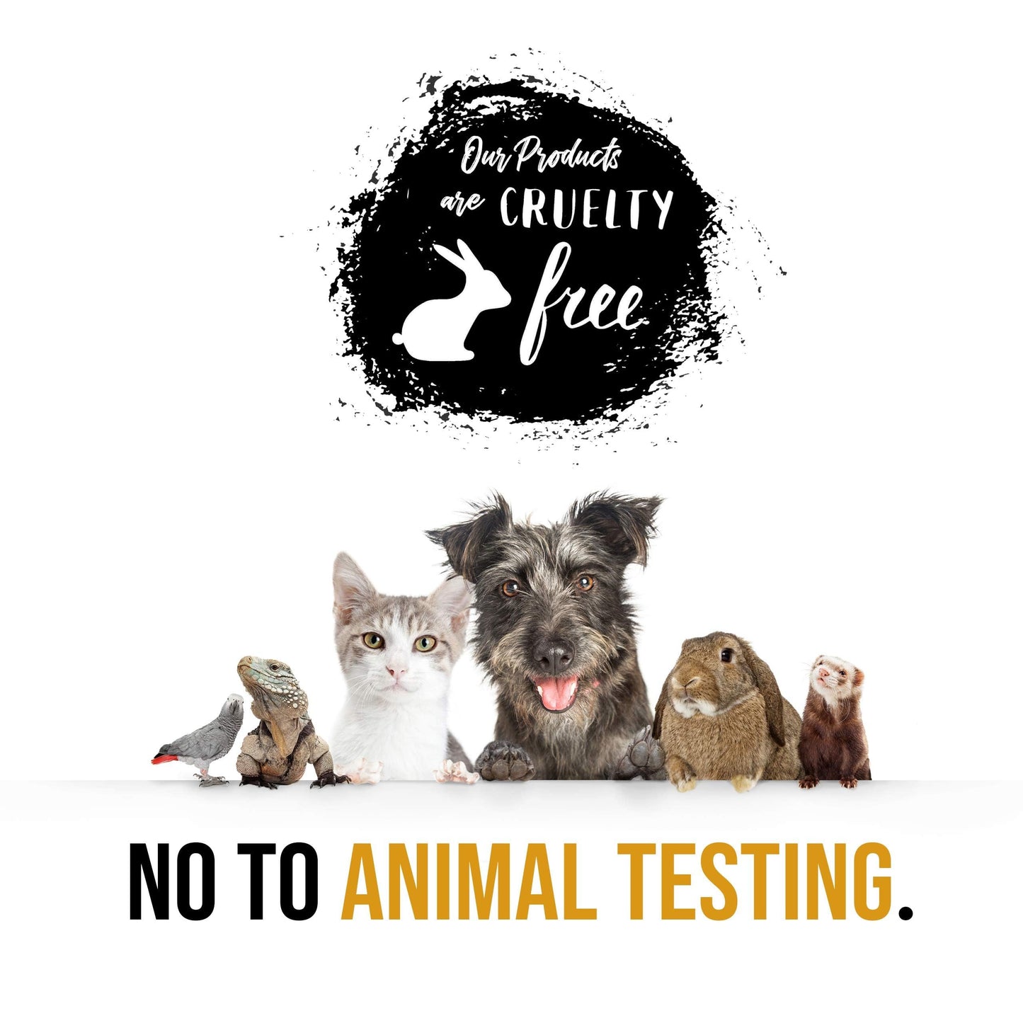 Freida & Joe Fragrance Bath & Body Collection Gift Box, Includes Shower Gel, Body Lotion, Body Scrub, Bath Bomb & Sponge