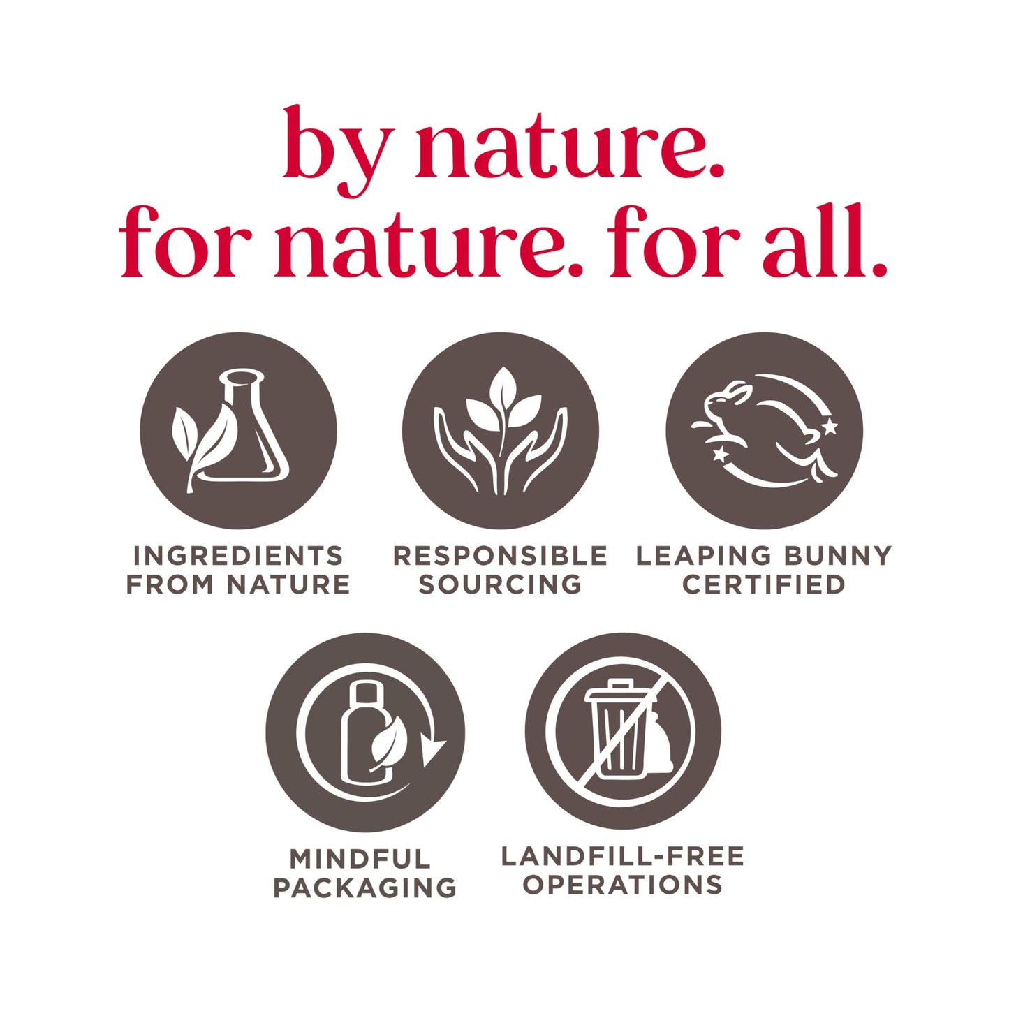 Brunette Brow Gel by Burts Bees, 0.1 Ounce