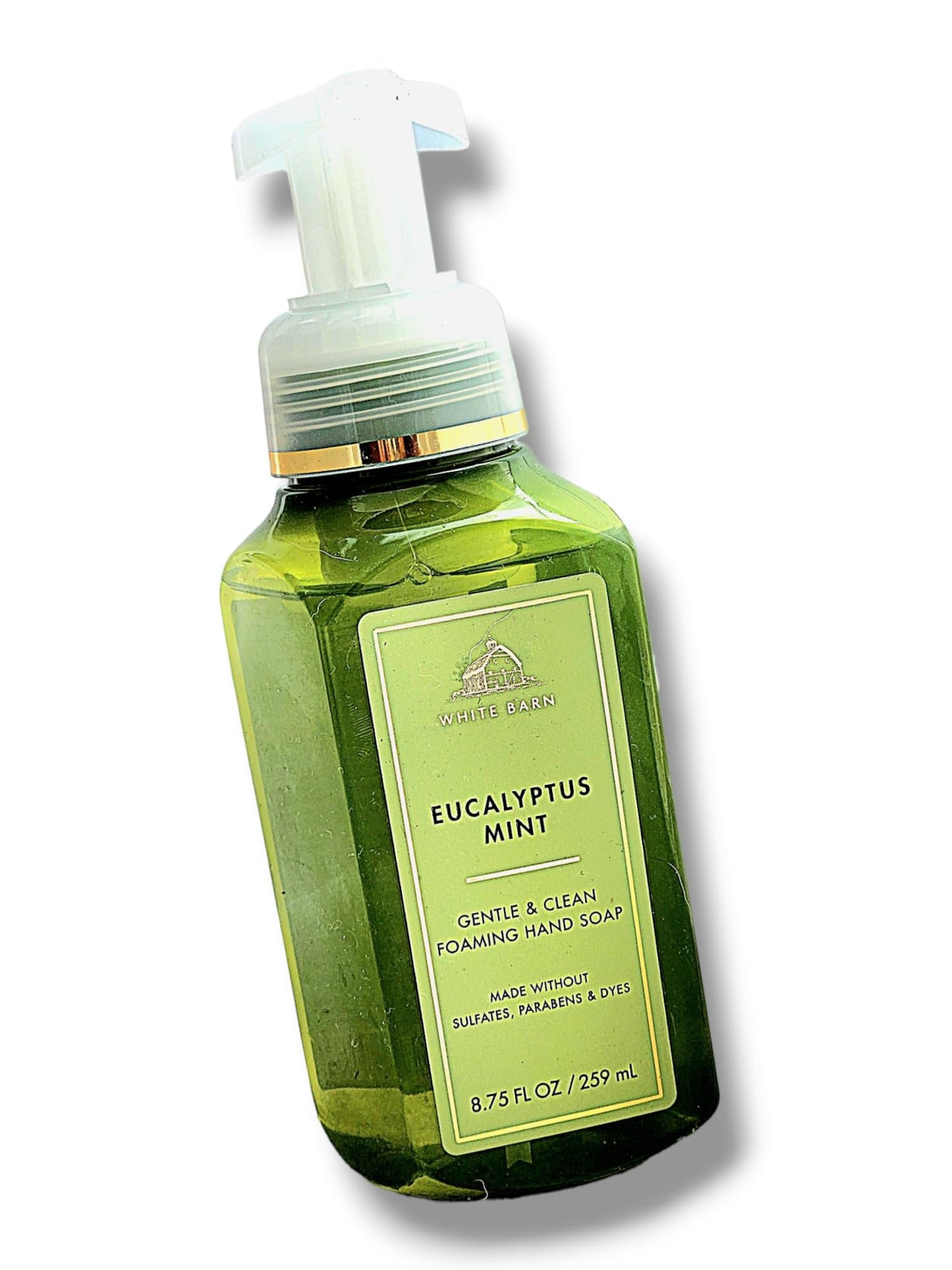 Baꞎh aпd Body Works Gentle Foaming Hand Soap 8.75 Fl Oz (Packaging may vary) (Eucalyptus Mint)