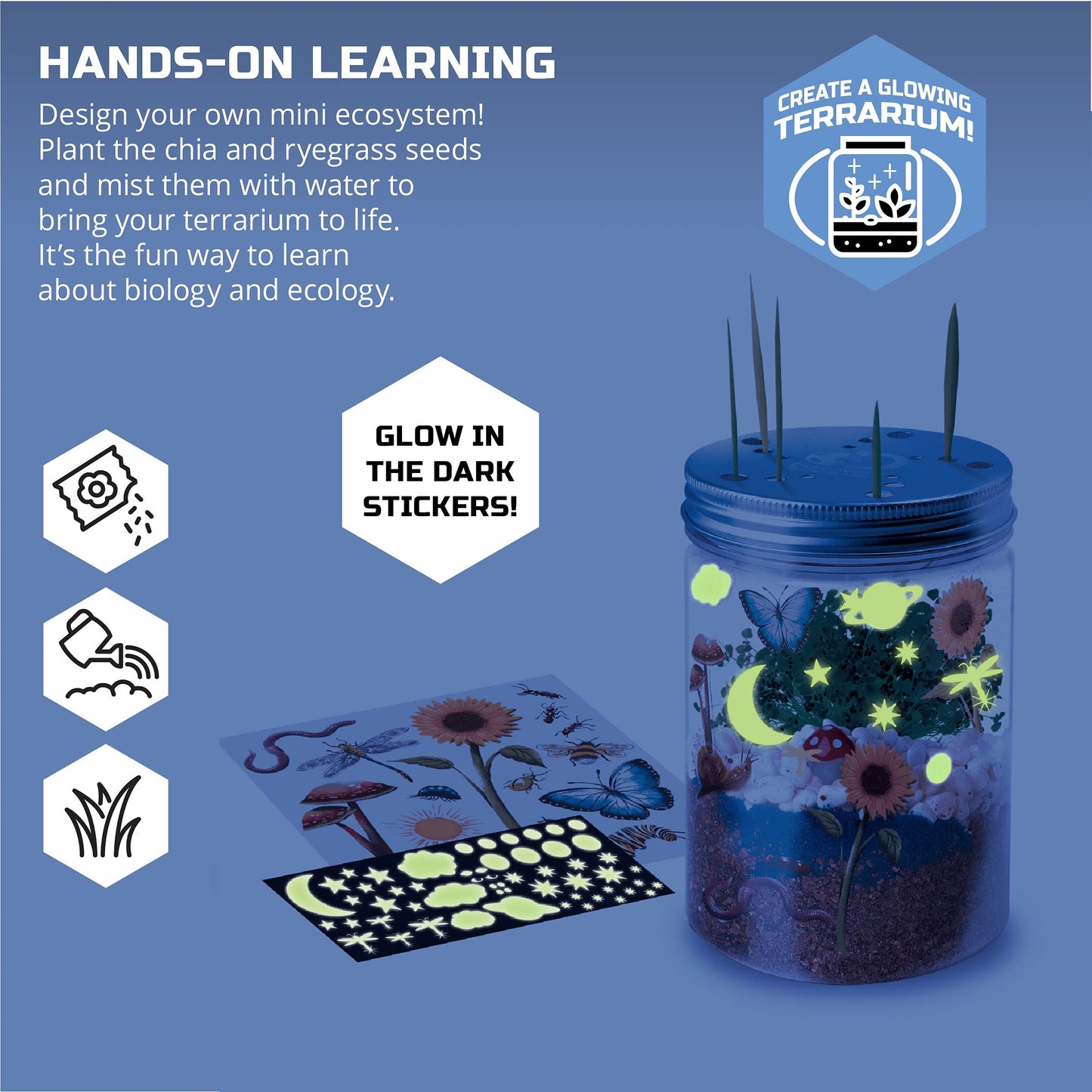 Discovery #MINDBLOWN DIY Terrarium Grow Kit, Fast-Growing Indoor Mini Garden, Create A Living Ecosystem, Includes Sand, Seeds, Potting Mix, Stones and More