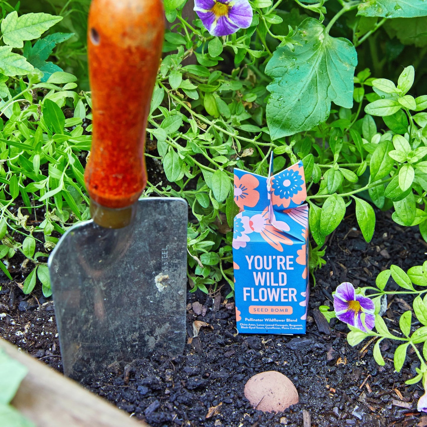 Modern Sprout Seed Bombs - Organic Wildflower & Herbs Seeds for Indoor/Outdoor Gardening - Party Favors and Eco-Friendly Gift for Plant Lovers - Includes 12 Hand-Rolled Seed Balls - Made in The USA