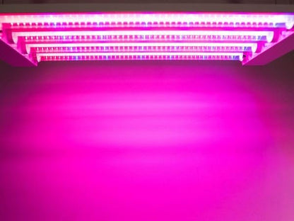 Feit Electric Grow Light 60W 2ft LED for Indoor Plants and Gardens, Multiple Bulbs for Hydroponic Plants