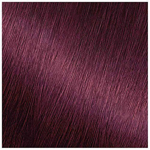 Garnier Hair Color Nutrisse Ultra Color Nourishing Creme