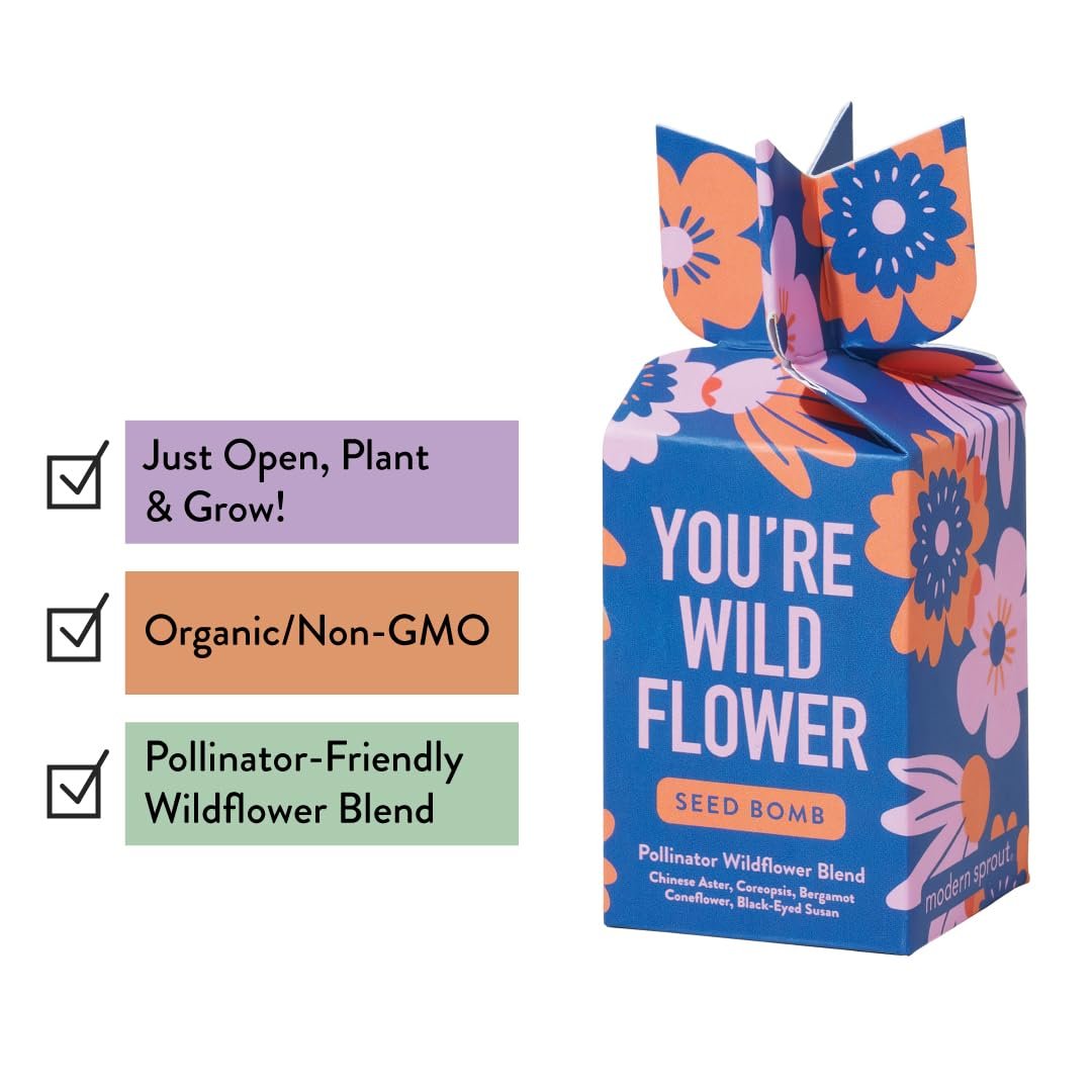 Modern Sprout Seed Bombs - Organic Wildflower & Herbs Seeds for Indoor/Outdoor Gardening - Party Favors and Eco-Friendly Gift for Plant Lovers - Includes 12 Hand-Rolled Seed Balls - Made in The USA