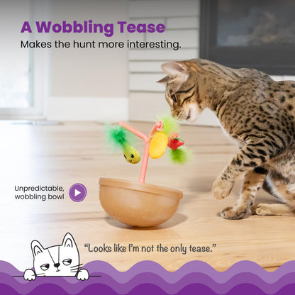 Catstages Electronic Interactive Cat Toys – Dancing & Moving Animal Toys with Music and Motion