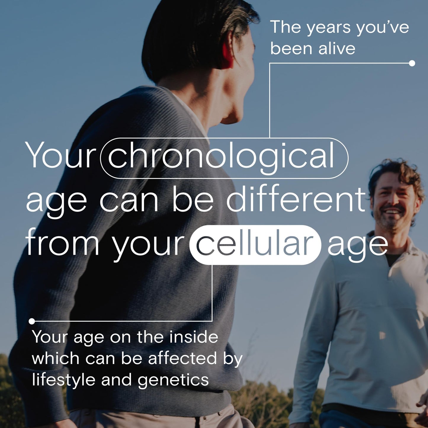 One A Day Age Factor Cell Defense-Cell Health Supplement to Support Healthy Aging Journey, Cell Health Support for Adults, with Olive Polyphenols, Resveratrol, Vitamin B3 (Niacinamide), 30 Softgels