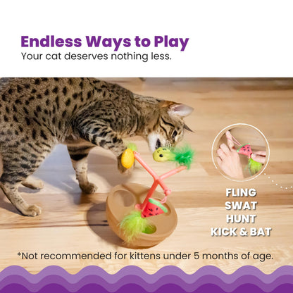 Catstages Electronic Interactive Cat Toys – Dancing & Moving Animal Toys with Music and Motion