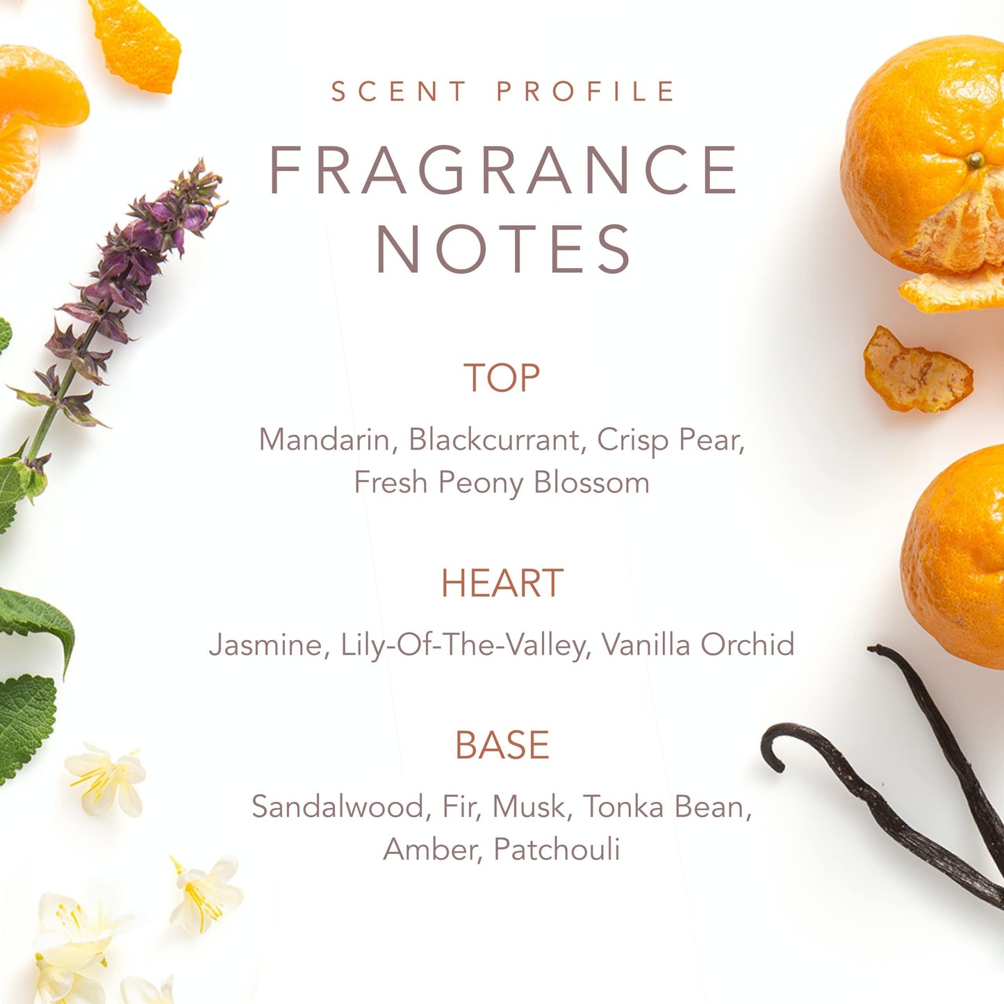 SCENT BEAUTY Eau de Toilette