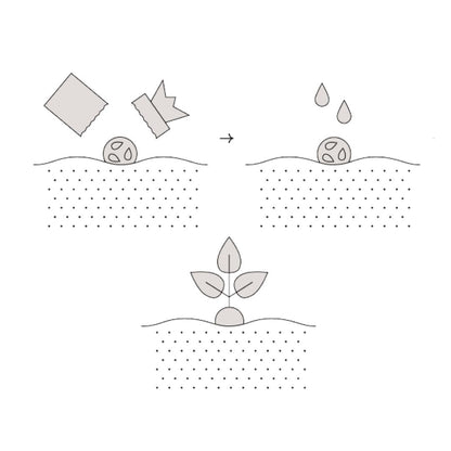 Modern Sprout Seed Bombs - Organic Wildflower & Herbs Seeds for Indoor/Outdoor Gardening - Party Favors and Eco-Friendly Gift for Plant Lovers - Includes 12 Hand-Rolled Seed Balls - Made in The USA