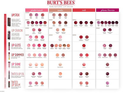 Burt's Bees 100% Natural Moisturizing Lip Gloss