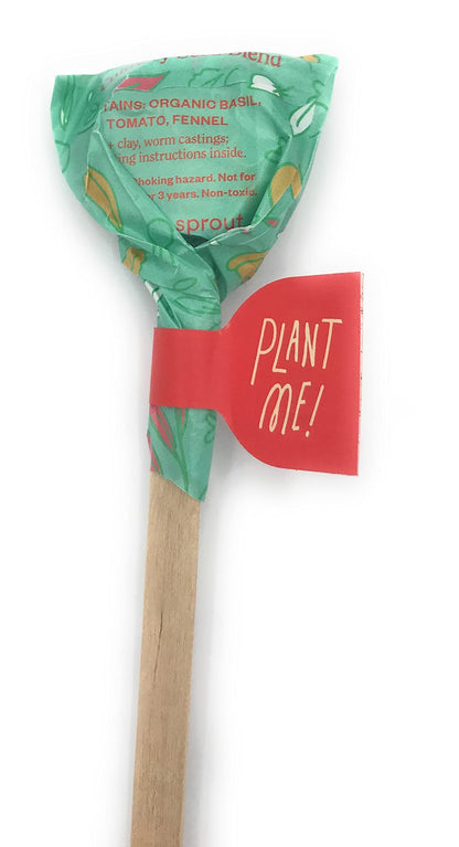 Modern Sprout Pizza Seed Pop, 1 EA