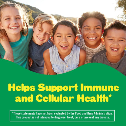 Lil Critters Kids Immune C Gummy Supplement: Vitamins C, D3 & Zinc for Immune Support, 60 or 120mg Vitamin C Per Serving, 190 Count (95-190 Day Supply), from America’s No. 1 Gummy Vitamin Brand
