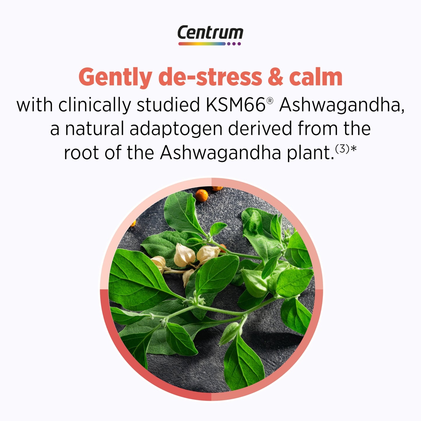 Centrum Clear Mind and Calm Mood Menopause Support Tablets, with Clinically Studied enXtra, 30 Count