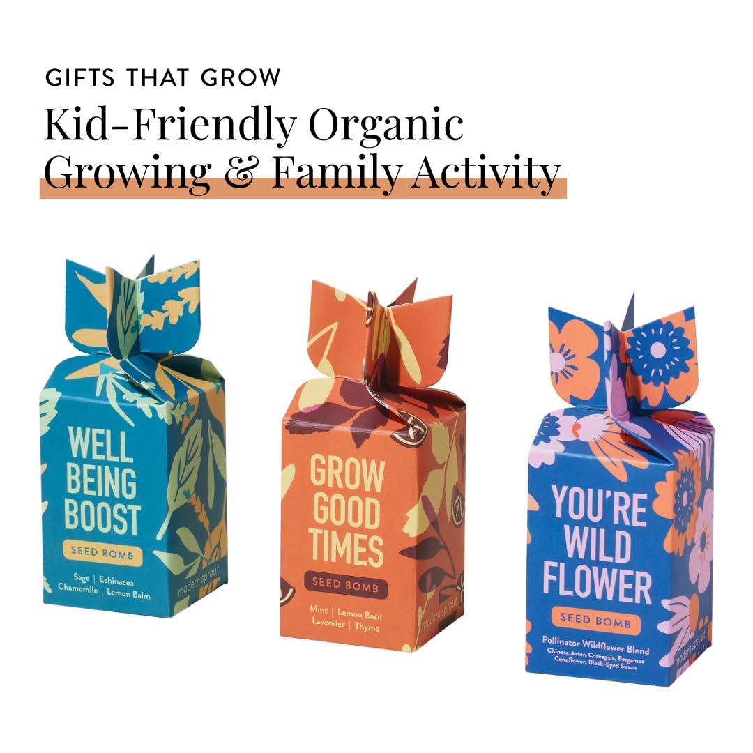 Modern Sprout Seed Bombs - Organic Wildflower & Herbs Seeds for Indoor/Outdoor Gardening - Party Favors and Eco-Friendly Gift for Plant Lovers - Includes 12 Hand-Rolled Seed Balls - Made in The USA