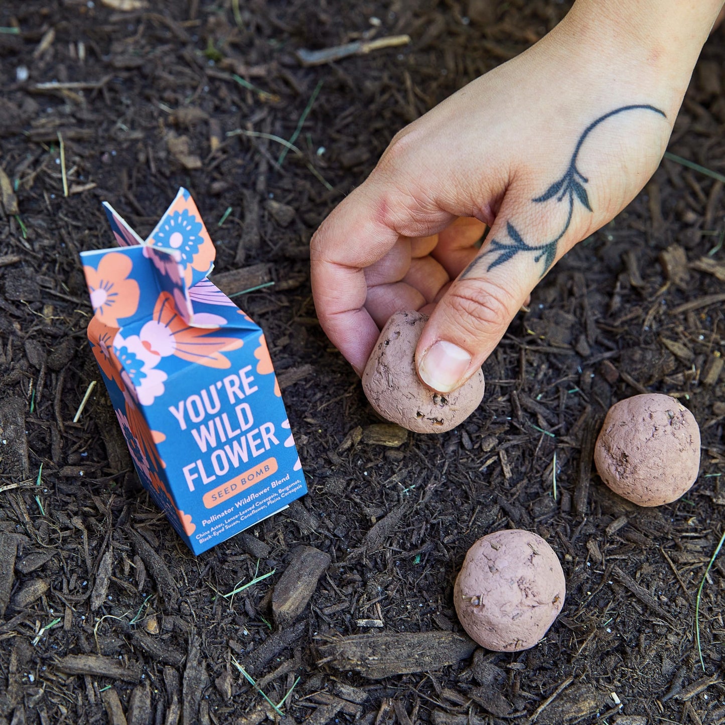 Modern Sprout Seed Bombs - Organic Wildflower & Herbs Seeds for Indoor/Outdoor Gardening - Party Favors and Eco-Friendly Gift for Plant Lovers - Includes 12 Hand-Rolled Seed Balls - Made in The USA